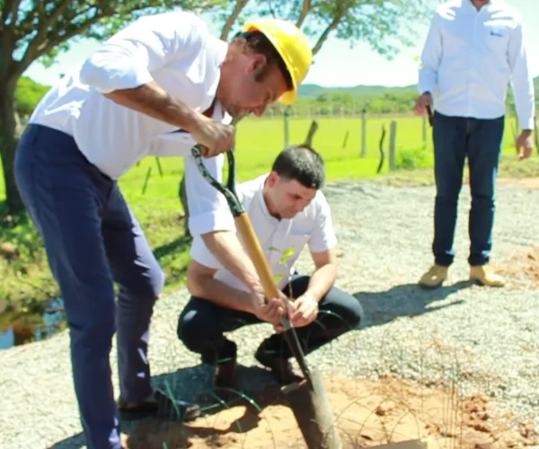 Plantacio╠ün de a╠ürboles Cantera Pirayu╠ü